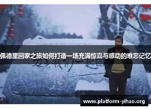 佩德里回家之旅如何打造一场充满惊喜与感动的难忘记忆 佩德里回家之旅如何打造一场充满惊喜与感动的难忘记忆