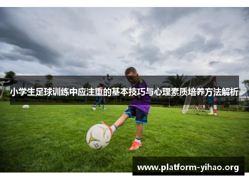 小学生足球训练中应注重的基本技巧与心理素质培养方法解析 小学生足球训练中应注重的基本技巧与心理素质培养方法解析