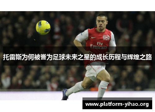 托雷斯为何被誉为足球未来之星的成长历程与辉煌之路